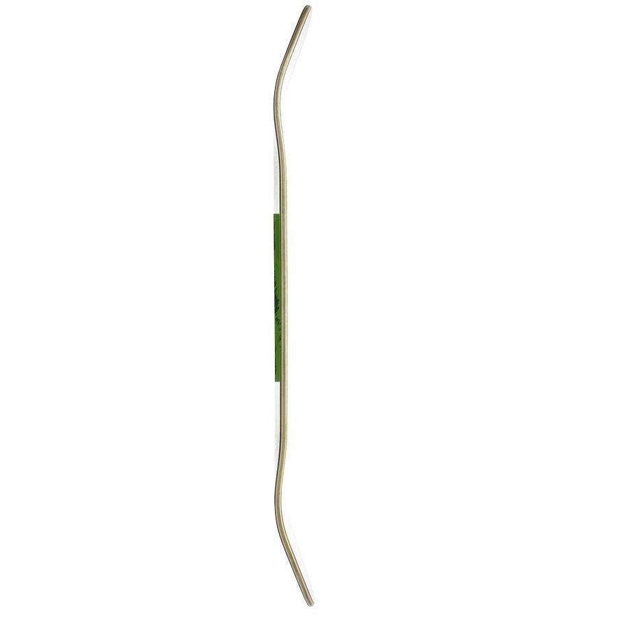 SHAPE CREATURE GARDNER SHATTER PROOF 8.84"