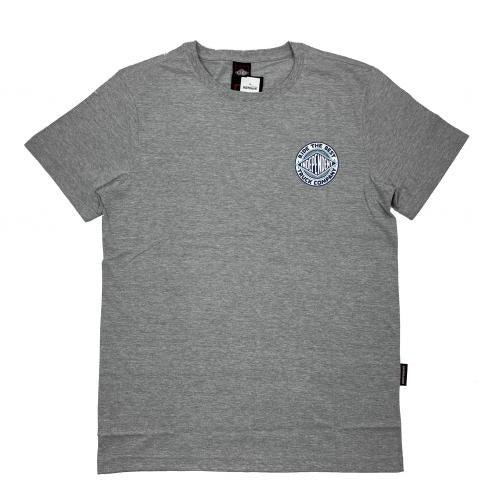 Camiseta Independent BTG Summit Cinza - Dreamin Shop BR