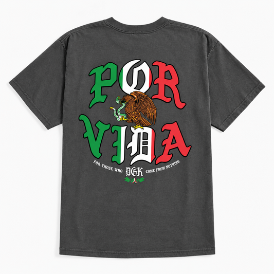 Camiseta Importada DGK - VIVO Cinza Escuro/Grey