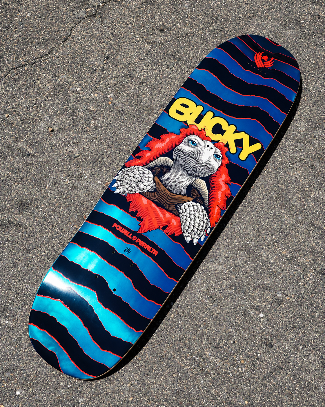 Shape importado Powell Peralta Flight Deck Bucky Lasek Tortoise 8.62" x 32.2" – Importado USA
